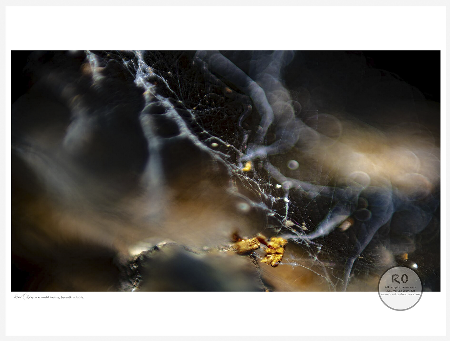 fine art print, giclée print, museum quality, archival ink, creative hoover, contemporary art, limited edition, art on demand, print on demand, modern art, abstract art, wall art, artist edition, danish artist
kunsttryk, giclée tryk, museums kvalitet, kunst på papir, limited edition, print on demand, samtidskunst, moderne kunst, fabulerende kunst, kreativt tryk, dansk kunstner, kunst til hjemmet