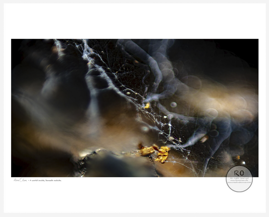 fine art print, giclée print, museum quality, archival ink, creative hoover, contemporary art, limited edition, art on demand, print on demand, modern art, abstract art, wall art, artist edition, danish artist
kunsttryk, giclée tryk, museums kvalitet, kunst på papir, limited edition, print on demand, samtidskunst, moderne kunst, fabulerende kunst, kreativt tryk, dansk kunstner, kunst til hjemmet
