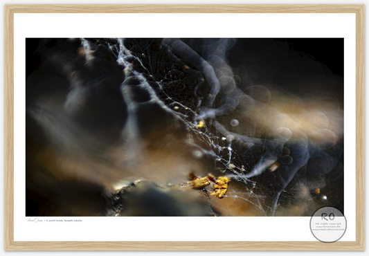 fine art print, giclée print, museum quality, archival ink, creative hoover, contemporary art, limited edition, art on demand, print on demand, modern art, abstract art, wall art, artist edition, danish artist
kunsttryk, giclée tryk, museums kvalitet, kunst på papir, limited edition, print on demand, samtidskunst, moderne kunst, fabulerende kunst, kreativt tryk, dansk kunstner, kunst til hjemmet
