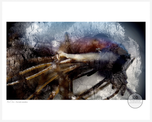 fine art print, giclée print, museum quality, archival ink, creative hoover, contemporary art, limited edition, art on demand, print on demand, modern art, abstract art, wall art, artist edition, danish artist
kunsttryk, giclée tryk, museums kvalitet, kunst på papir, limited edition, print on demand, samtidskunst, moderne kunst, fabulerende kunst, kreativt tryk, dansk kunstner, kunst til hjemmet
