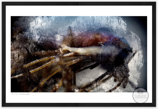 fine art print, giclée print, museum quality, archival ink, creative hoover, contemporary art, limited edition, art on demand, print on demand, modern art, abstract art, wall art, artist edition, danish artist
kunsttryk, giclée tryk, museums kvalitet, kunst på papir, limited edition, print on demand, samtidskunst, moderne kunst, fabulerende kunst, kreativt tryk, dansk kunstner, kunst til hjemmet
