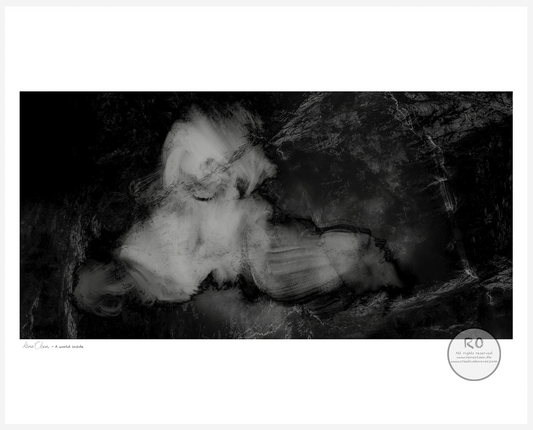 fine art print, giclée print, museum quality, archival ink, creative hoover, contemporary art, limited edition, art on demand, print on demand, modern art, abstract art, wall art, artist edition, danish artist
kunsttryk, giclée tryk, museums kvalitet, kunst på papir, limited edition, print on demand, samtidskunst, moderne kunst, fabulerende kunst, kreativt tryk, dansk kunstner, kunst til hjemmet
